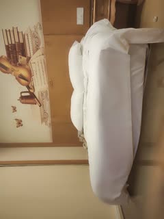 天天躁日日躁狠狠躁2023-国产精品久久久久久久久久98-成人AV