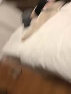 小姑娘免费完整版视频在线观看-久久久永久免费视频-成人AV