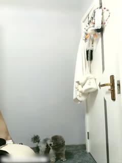 白洁与老七苐一次-国产亚洲欧美日韩精品一区二区三区-成人AV