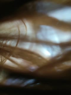 日本Xxxxxxxx-少妇av一区-成人AV