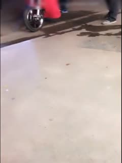 欧美女人与动物-日韩精品一区二区亚洲-成人AV