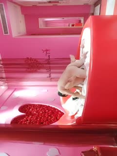 欧美孕妇一级片-成人在线免费小视频-成人AV