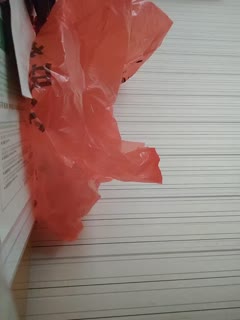 欧美美女性交网站-精品国产综合久久-成人AV