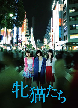 日韩论理-丁香久久久-成人AV