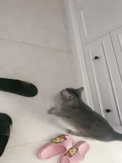 山寨攵女情乱柔迷-日韩中文字幕视频-成人AV