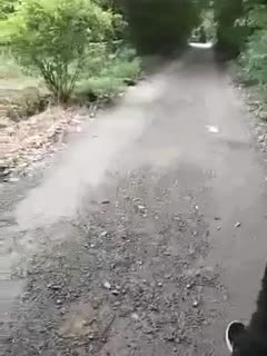 办公室白领被揉到高潮-av在线伊人-成人AV