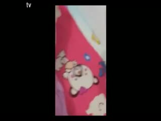 我的黑帮大佬第1季-黄色免费入口-成人AV