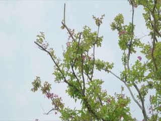 一边摸一边揉一边做爽-综合在线视频-成人AV