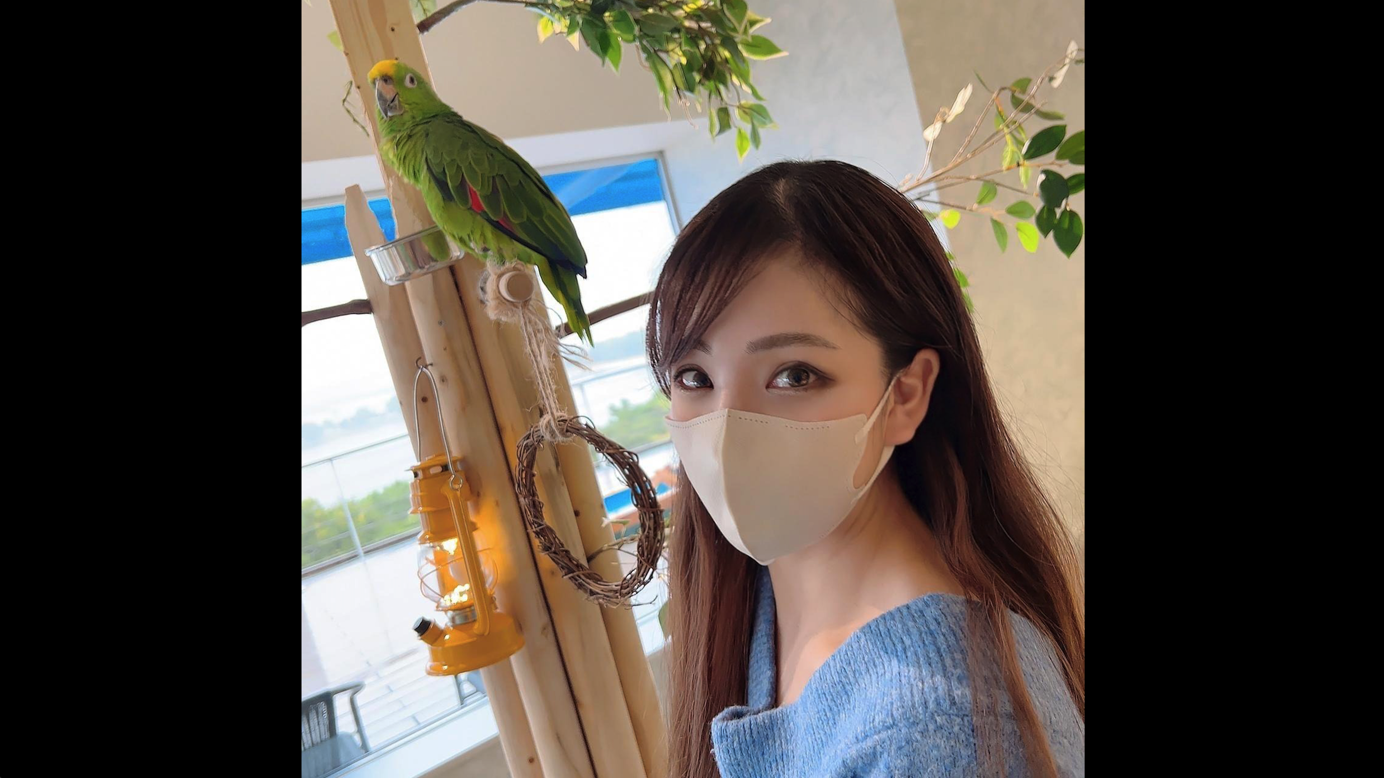 日日摸夜夜添夜夜躁好吊-精品999国产-成人AV