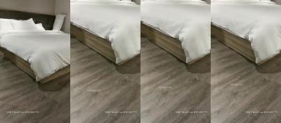 亚洲色免费-成年人av在线播放-成人AV