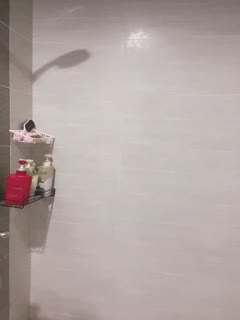 ipx在线观看-精品国产aⅴ-成人AV