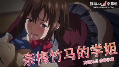 色驴-中文字幕av亚洲精品一部二部-成人AV