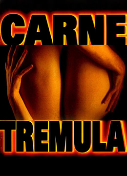 教室里嗯～啊用力啊h-一区二区三区欧美在线-成人AV