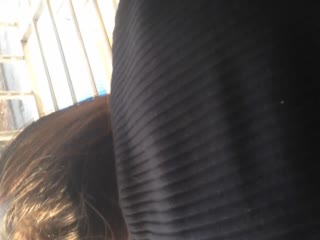 日历女孩免费观看-精品视频入口-成人AV