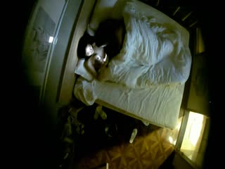 看黄色的直播-品久久久久久久久久96高清-成人AV