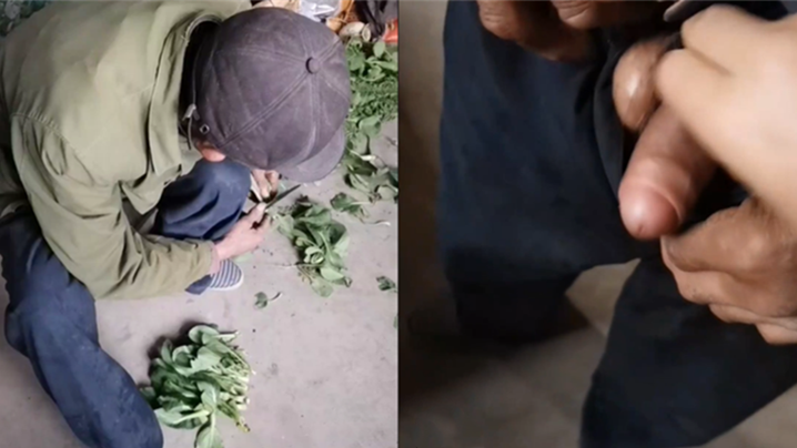 乐可视频-久久久久国产精品一区二区-成人AV