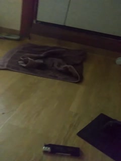 熊出没韩国电影免费高清完整版在线观看-日韩精品少妇一区二区在线看-成人AV