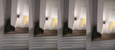 ja∨名优馆-免费在线观看av-成人AV