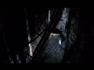 武松在线观看-国产视频中文字幕在线观看-成人AV