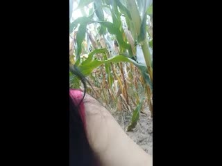 色戒tv-在线观看a毛片-成人AV