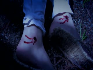 三级dvd播放-69免费在线视频-成人AV