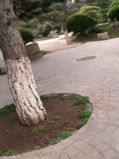 致我的星星第二季韩剧在线观看完整版-**毛片-成人AV