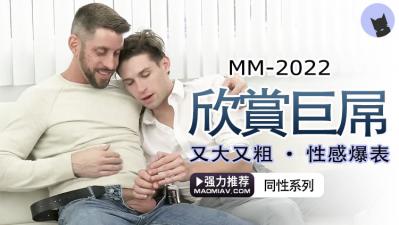 收能看的A片-国产永久免费高清在线精品-成人AV