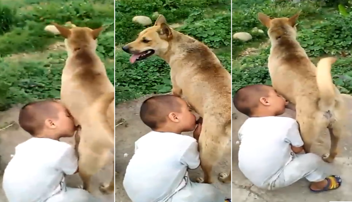 香港三级女教师-国产精品九九九九九-成人AV