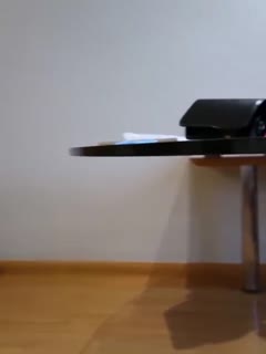 噼里啪啦国语高清-99精品国产成人一区二区-成人AV