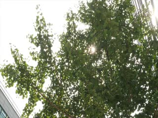 久久性视频-国产精品18久久久久久久久-成人AV