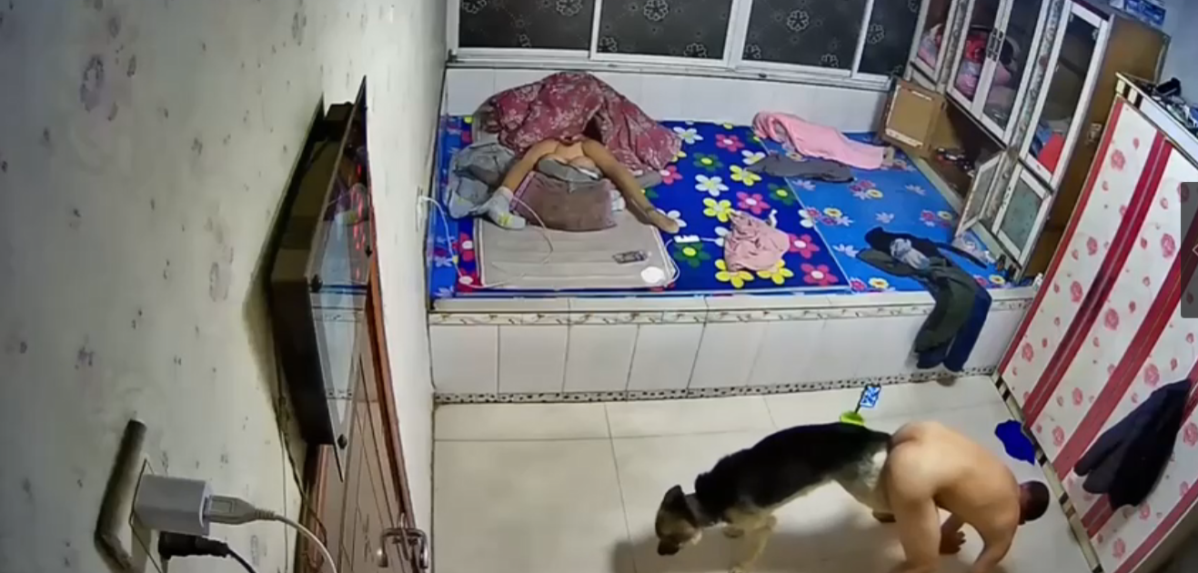 花房姑娘免费看-国产精品玖玖玖-成人AV