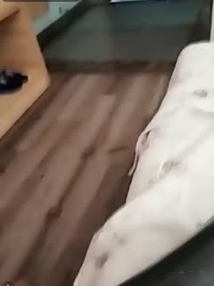 老鸭窝91久久久久-国产色婷婷精品综合在线播放-成人AV