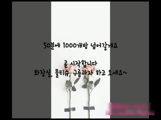 今天农历是几号-午夜国产免费-成人AV