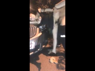 高h禁伦慎入1v1骨科-99小视频在线观看-成人AV