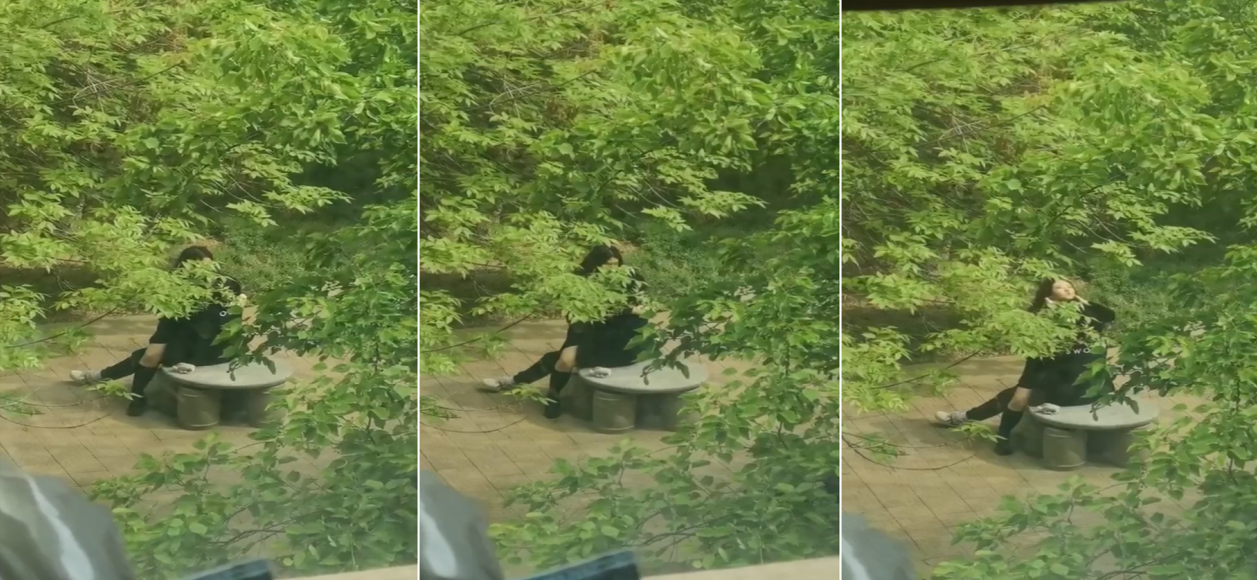 公主嫁到被调教成禁脔h文-日韩精品久久久久久久玫瑰园-成人AV