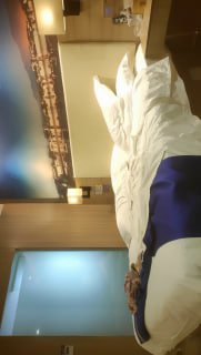 黄色r逼视频免费看-久久精品a级毛片-成人AV