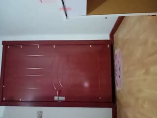 731三极片-国产免费午夜-成人AV