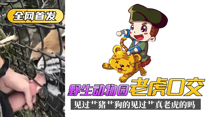 玖玖性爱簧片-国产一区二区三区片-成人AV