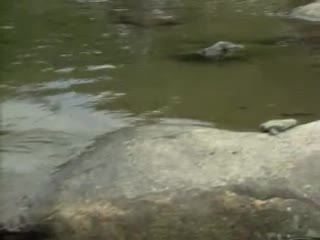 超大巨吊黑人AV-欧美精品成人在线视频-成人AV