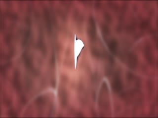 亚洲性欲www-成人黄色免费看-成人AV