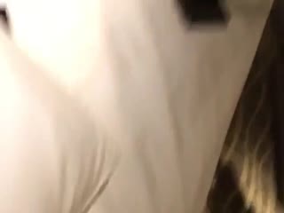 91精品啪在线观看国产日本-成人小视频在线免费观看-成人AV