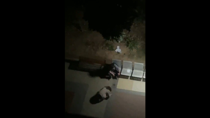 若月みいな 番号大全-欧美a在线视频-成人AV