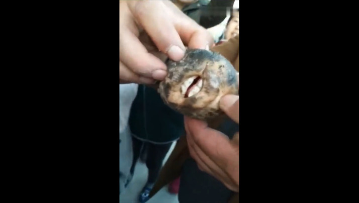 91看片.-亚洲精选一区二区-成人AV