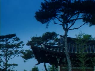 完美妻子6免费完整版高清韩剧-日韩综合一区二区-成人AV