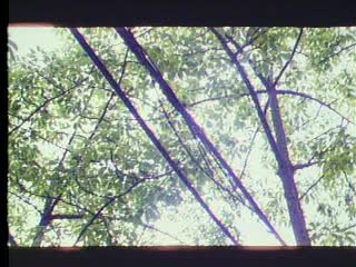 综合日韩欧美-五月天久久久久久九一站片-成人AV