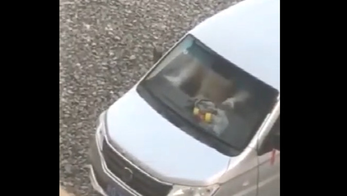 黄色打洞片-亚洲五码在线-成人AV