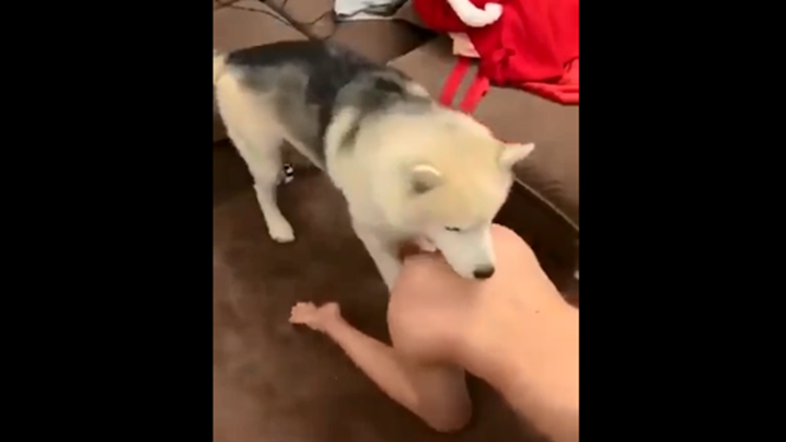 丝袜老师办公室里做好紧好爽-日韩av中文字幕在线免费观看-成人AV