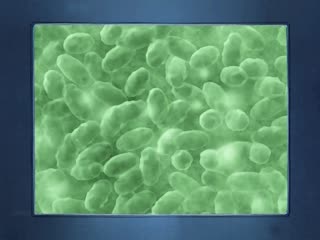 射射屋-精品久久9999-成人AV