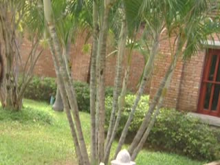 三级片在线观看一区二区二区-黄视频网站在线观看-成人AV