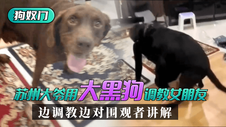 2024狠狠操-国产亚洲欧美另类一区二区三区-成人AV